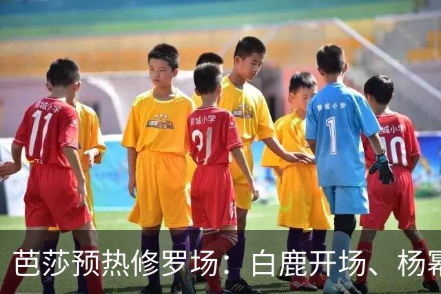 芭莎预热修罗场：白鹿开场、杨幂压轴，85/90/95 三代花同台，高定还要自费卷？